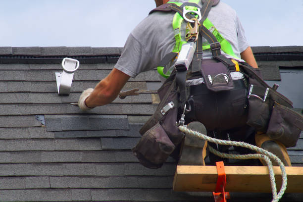 Best Roof Gutter Cleaning  in Gardendale, TX